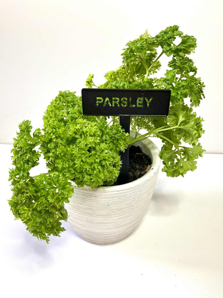 Garden Plant Markers Herb &amp; Vegetable Labels, Waterproof, Reusable, x6 pack