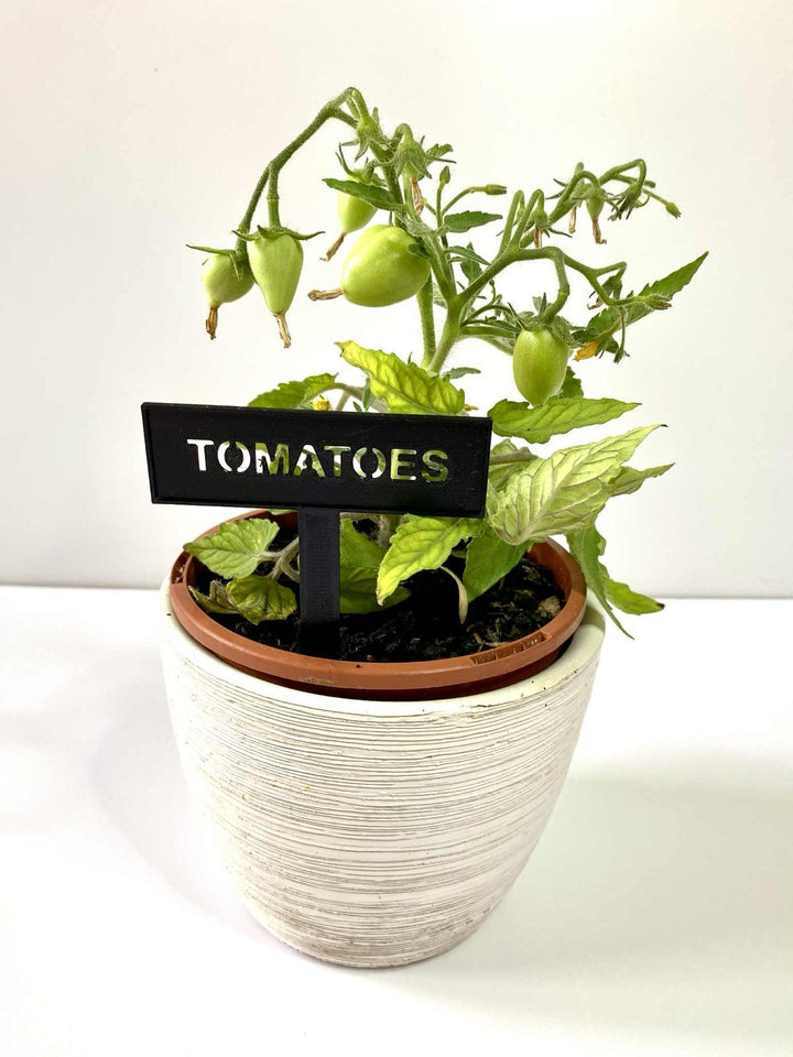 Garden Plant Markers Herb &amp; Vegetable Labels, Waterproof, Reusable, x6 pack